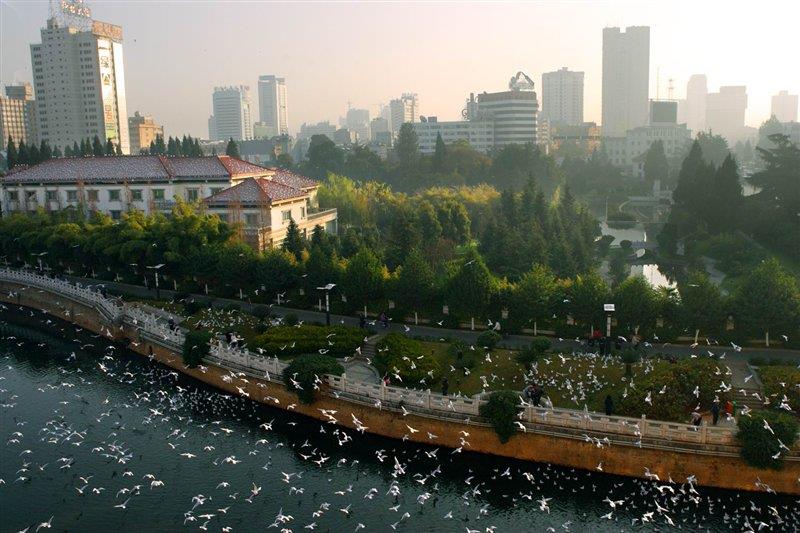 母親河盤龍江 http://www.fg316.com/