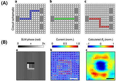部分實驗結(jié)果圖