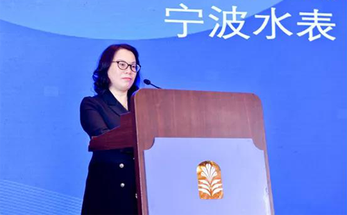 中國(guó)儀器儀表行業(yè)協(xié)會(huì)副理事長(zhǎng)、寧波水表(集團(tuán))股份有限公司董事長(zhǎng) 張琳