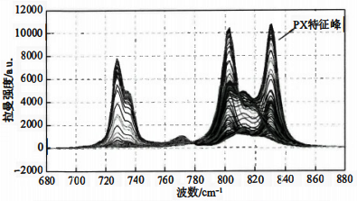 PX濃度不同的96個混合樣品的拉曼光譜